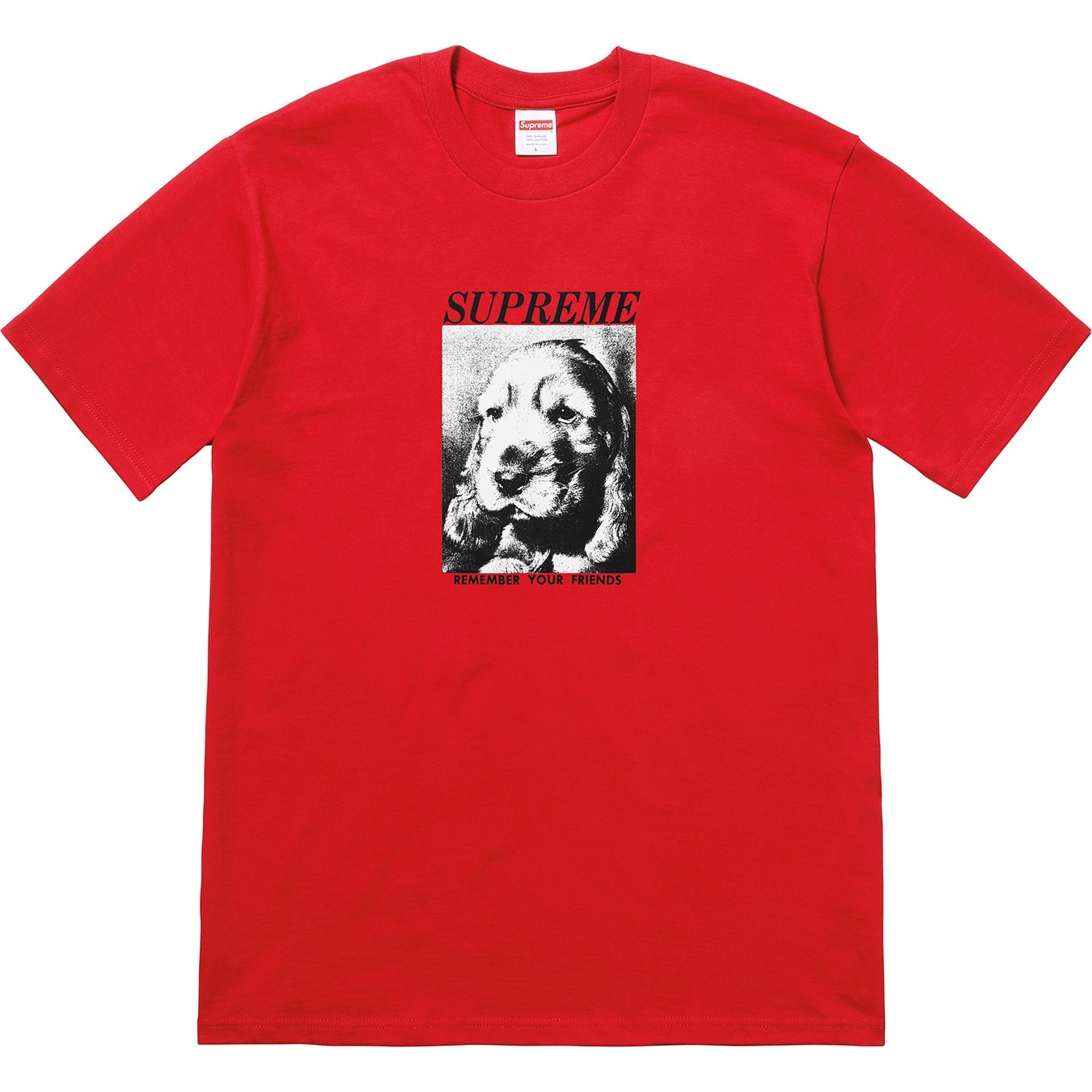 Remember Tee view 5